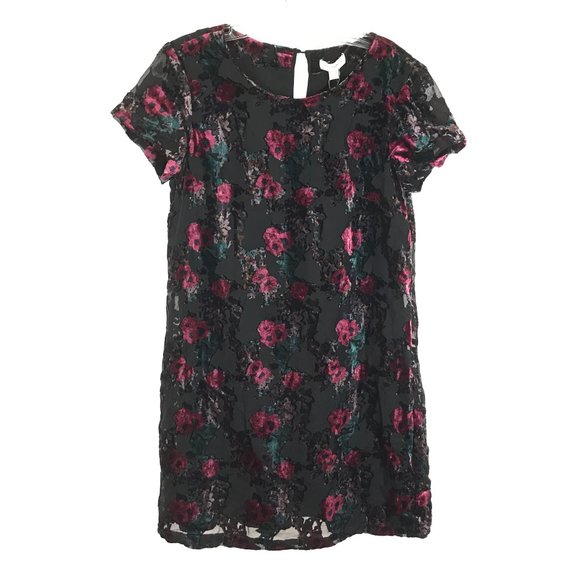NWT Womens Size 8 Carolina Belle Multicolor Flocked Floral Velvet Mini Dress - Picture 1 of 4